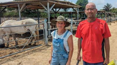 Bargain-Loving Brits in the Sun