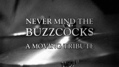 Never Mind the Buzzcocks