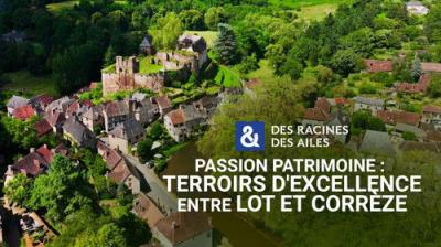 Des racines & des ailes