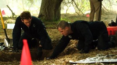 CSI: Kriminalistai