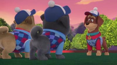 Puppy Dog Pals