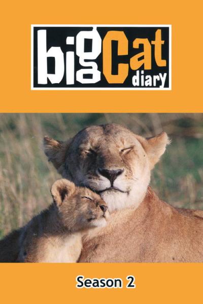 Big Cat Week filmas online