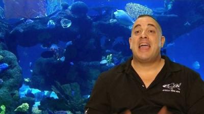 Tanked