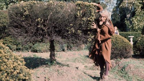 Catweazle filmas žiurėti online