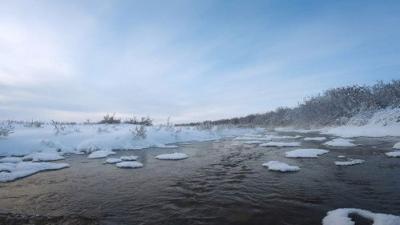 Life Below Zero