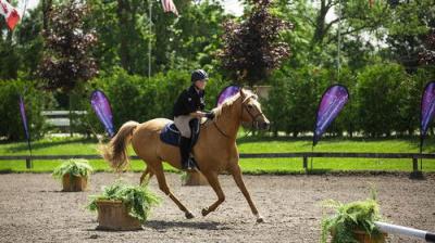 All-Round Champion