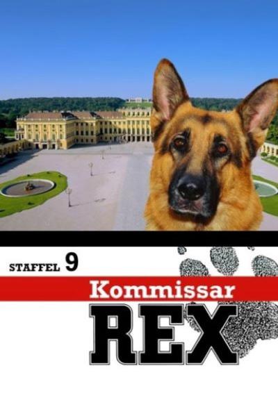 Komisaras Reksas filmas online