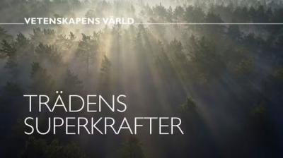 Vetenskapens värld