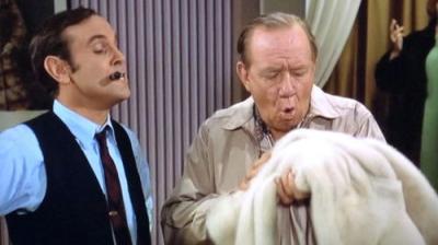 The Andy Griffith Show