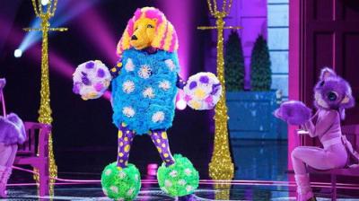 The Masked Singer