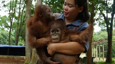 Foreign Correspondent