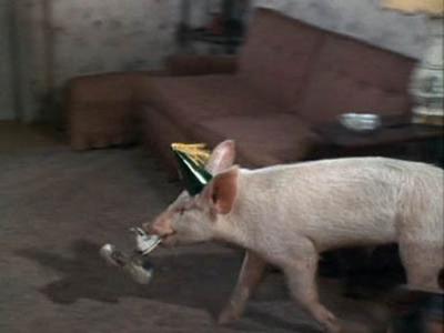 Green Acres