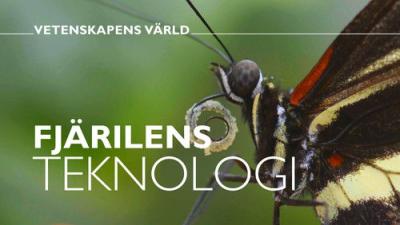 Vetenskapens värld