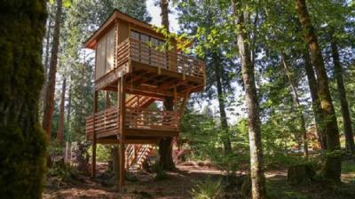 Treehouse Masters