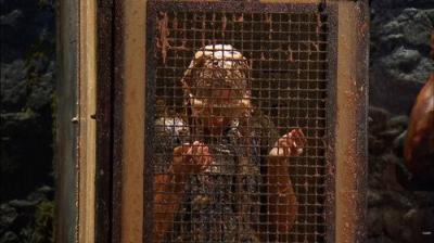 I'm a Celebrity...Get Me Out of Here!