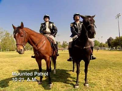 Reno 911!