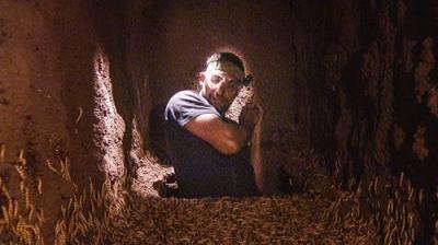 I'm a Celebrity...Get Me Out of Here!