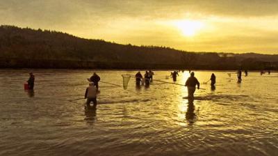 Oregon Field Guide