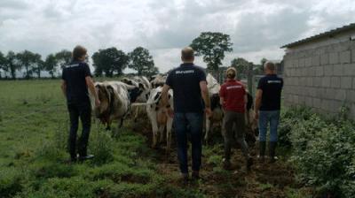 Boer zoekt Vrouw
