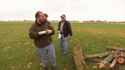 American Pickers