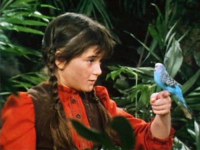 Swiss Family Robinson