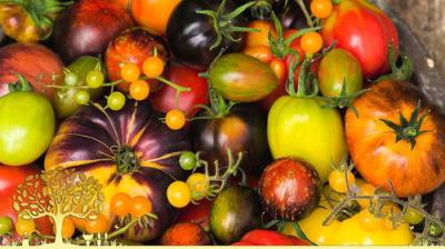 Gardeners' World