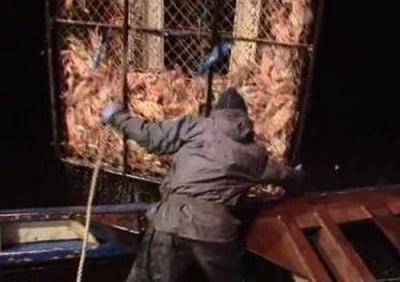 Deadliest Catch