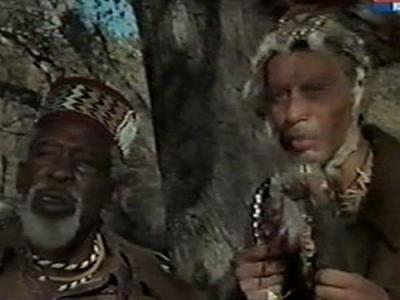 Daktari