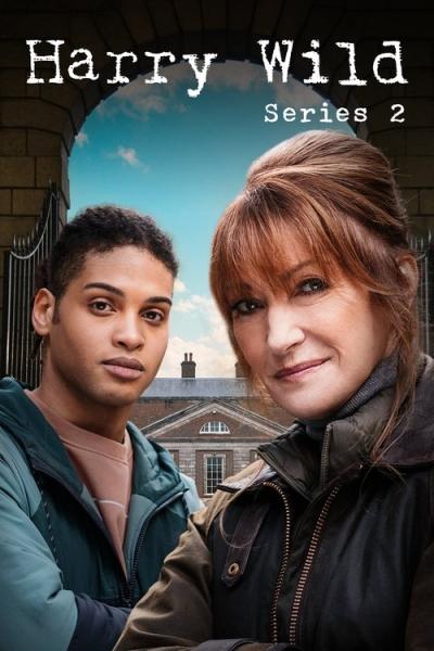 Harry Wild filmas online