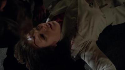 Įstatymas ir tvarka. Specialiųjų tyrimų skyrius