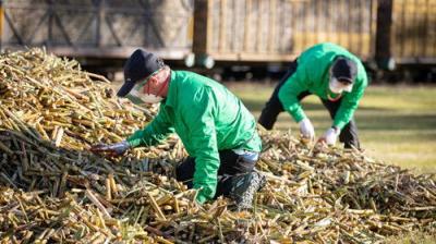 The Amazing Race Australia