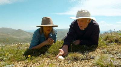 Gardening Australia