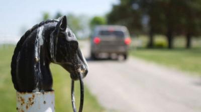 The Incredible Dr. Pol