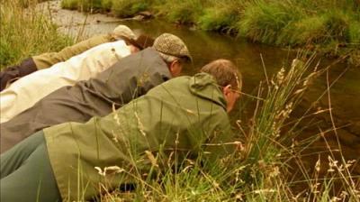 Last of the Summer Wine