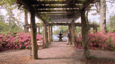 Dawson's Creek