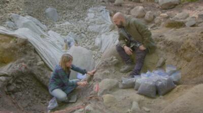 The Curse of Oak Island