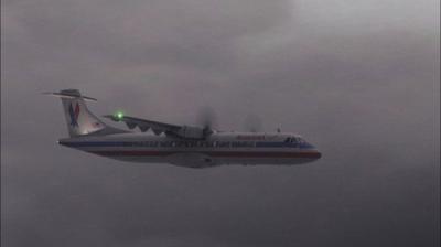 Air Disasters