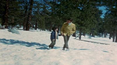 The Courtship of Eddie's Father