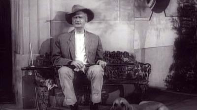 The Beverly Hillbillies