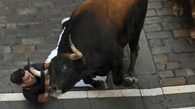 Vive San Fermín