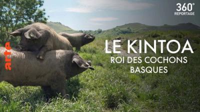 ARTE 360° Reportage