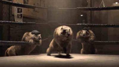 Les Marmottes