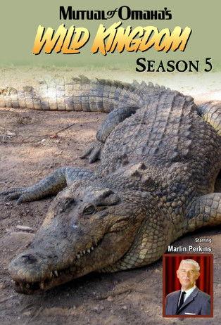 Mutual of Omaha's Wild Kingdom filmas online