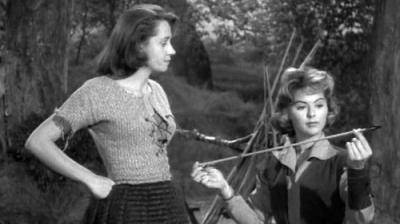 The Adventures of Robin Hood
