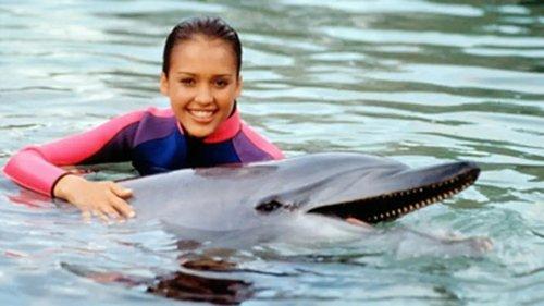 Flipper filmas žiurėti online