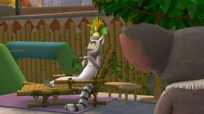 Madagaskaro pingvinai