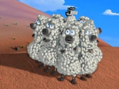 Back at the Barnyard