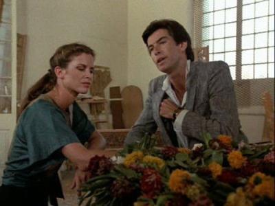 Remington Steele