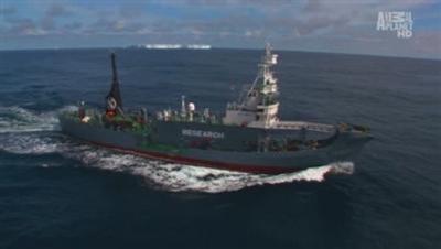 Whale Wars