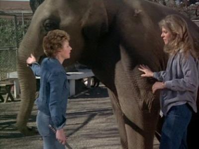 The Bionic Woman